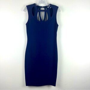 Diane Von Furstenberg DVF Amy Sheath Dress in Purple‎ Haze Women’s Size 4